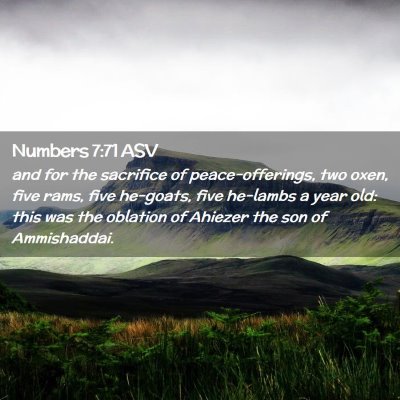 Picture 02 - Numbers 7:71 ASV - and for the sacrifice of peace-offerings, two - Bible Verse Picture