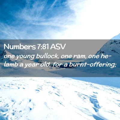 Picture 02 - Numbers 7:81 ASV - one young bullock, one ram, one he-lamb a year - Bible Verse Picture