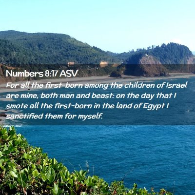 Picture 02 - Numbers 8:17 ASV - For all the first-born among the children of - Bible Verse Picture