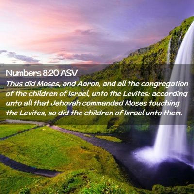 Picture 02 - Numbers 8:20 ASV - Thus did Moses, and Aaron, and all the - Bible Verse Picture
