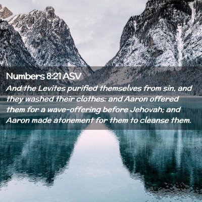 Picture 02 - Numbers 8:21 ASV - And the Levites purified themselves from sin, and - Bible Verse Picture