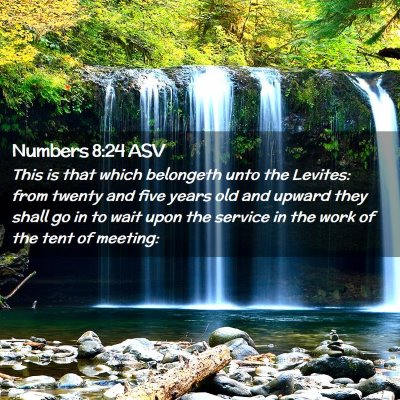 Picture 02 - Numbers 8:24 ASV - This is that which belongeth unto the Levites: - Bible Verse Picture
