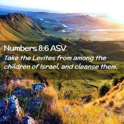 Picture 02 - Numbers 8:6 ASV - Take the Levites from among the children of - Bible Verse Picture