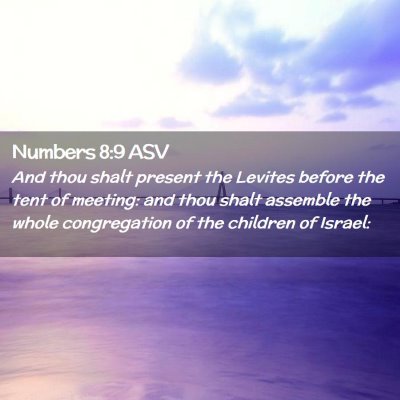 Picture 02 - Numbers 8:9 ASV - And thou shalt present the Levites before the - Bible Verse Picture