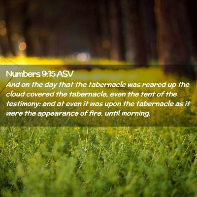 Picture 02 - Numbers 9:15 ASV - And on the day that the tabernacle was reared up - Bible Verse Picture