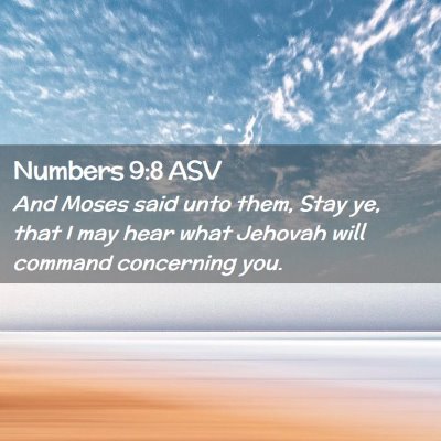 Picture 02 - Numbers 9:8 ASV - And Moses said unto them, Stay ye, that I may - Bible Verse Picture