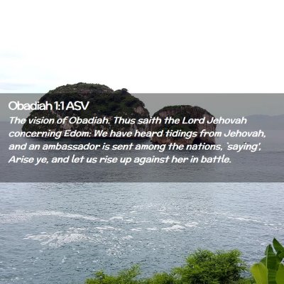 Picture 02 - Obadiah 1:1 ASV - The vision of Obadiah. Thus saith the Lord - Bible Verse Picture
