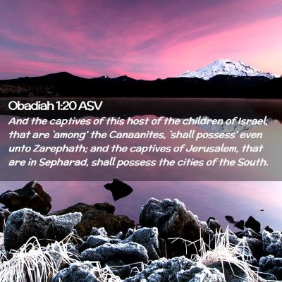 Picture 02 - Obadiah 1:20 ASV - And the captives of this host of the children of - Bible Verse Picture