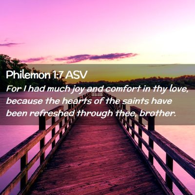 Picture 02 - Philemon 1:7 ASV - For I had much joy and comfort in thy love, - Bible Verse Picture
