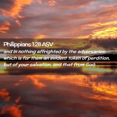 Picture 02 - Philippians 1:28 ASV - and in nothing affrighted by the adversaries: - Bible Verse Picture