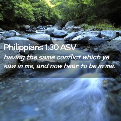 Picture 02 - Philippians 1:30 ASV - having the same conflict which ye saw in me, and - Bible Verse Picture