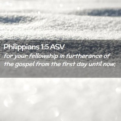 Picture 02 - Philippians 1:5 ASV - for your fellowship in furtherance of the gospel - Bible Verse Picture