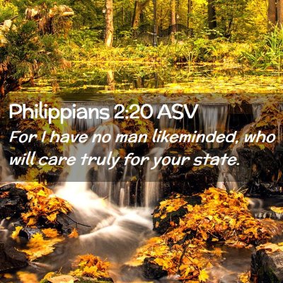 Picture 02 - Philippians 2:20 ASV - For I have no man likeminded, who will care truly - Bible Verse Picture