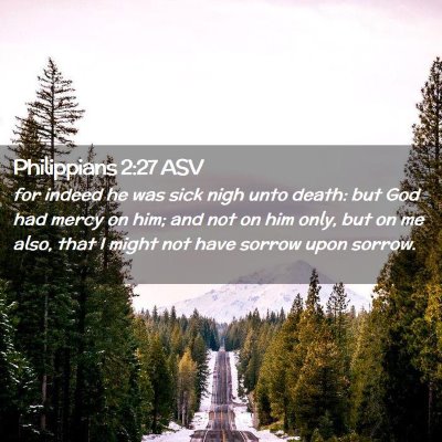 Picture 02 - Philippians 2:27 ASV - for indeed he was sick nigh unto death: but God - Bible Verse Picture