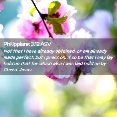 Picture 02 - Philippians 3:12 ASV - Not that I have already obtained, or am already - Bible Verse Picture