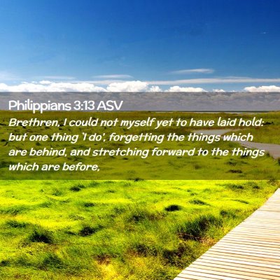 Picture 02 - Philippians 3:13 ASV - Brethren, I could not myself yet to have laid - Bible Verse Picture