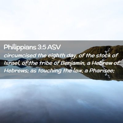 Picture 02 - Philippians 3:5 ASV - circumcised the eighth day, of the stock of - Bible Verse Picture