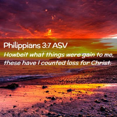 Picture 02 - Philippians 3:7 ASV - Howbeit what things were gain to me, these have I - Bible Verse Picture