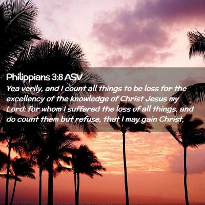 Picture 02 - Philippians 3:8 ASV - Yea verily, and I count all things to be loss for - Bible Verse Picture