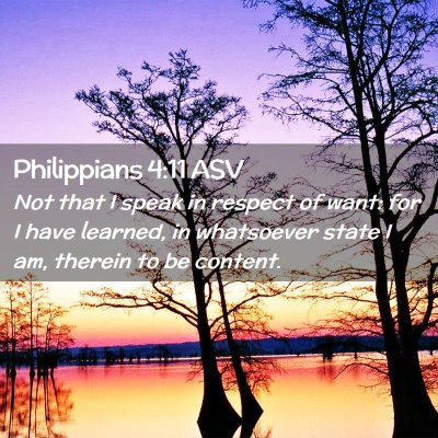 Picture 02 - Philippians 4:11 ASV - Not that I speak in respect of want: for I have - Bible Verse Picture