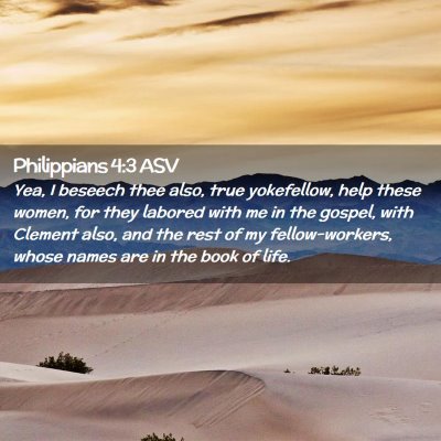 Picture 02 - Philippians 4:3 ASV - Yea, I beseech thee also, true yokefellow, help - Bible Verse Picture