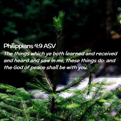 Picture 02 - Philippians 4:9 ASV - The things which ye both learned and received and - Bible Verse Picture