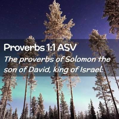 Picture 02 - Proverbs 1:1 ASV - The proverbs of Solomon the son of David, king of - Bible Verse Picture
