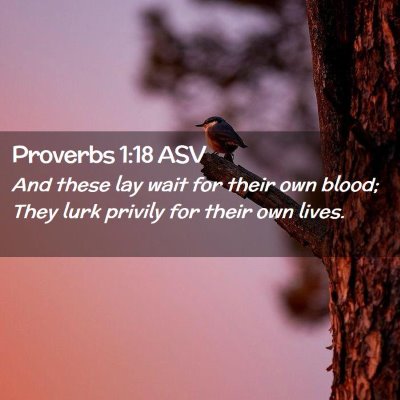 Picture 02 - Proverbs 1:18 ASV - And these lay wait for their own blood; They lurk - Bible Verse Picture