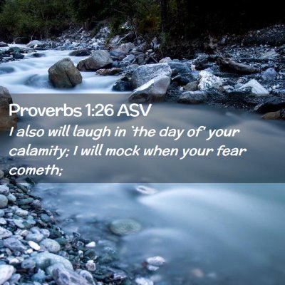 Picture 02 - Proverbs 1:26 ASV - I also will laugh in `the day of' your calamity; - Bible Verse Picture