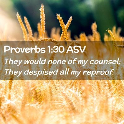 Picture 02 - Proverbs 1:30 ASV - They would none of my counsel; They despised all - Bible Verse Picture