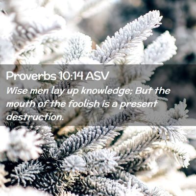 Picture 02 - Proverbs 10:14 ASV - Wise men lay up knowledge; But the mouth of the - Bible Verse Picture