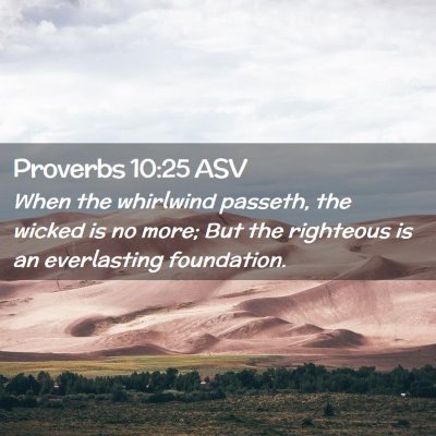 Picture 02 - Proverbs 10:25 ASV - When the whirlwind passeth, the wicked is no - Bible Verse Picture