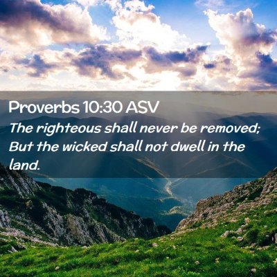 Picture 02 - Proverbs 10:30 ASV - The righteous shall never be removed; But the - Bible Verse Picture