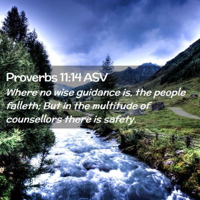Picture 02 - Proverbs 11:14 ASV - Where no wise guidance is, the people falleth; - Bible Verse Picture
