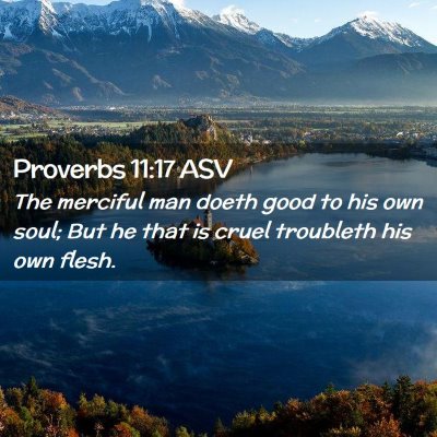 Picture 02 - Proverbs 11:17 ASV - The merciful man doeth good to his own soul; But - Bible Verse Picture