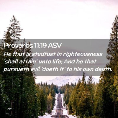 Picture 02 - Proverbs 11:19 ASV - He that is stedfast in righteousness `shall - Bible Verse Picture