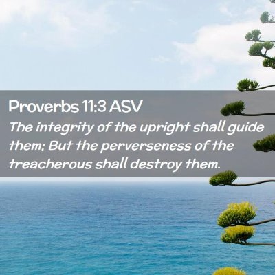 Picture 02 - Proverbs 11:3 ASV - The integrity of the upright shall guide them; - Bible Verse Picture