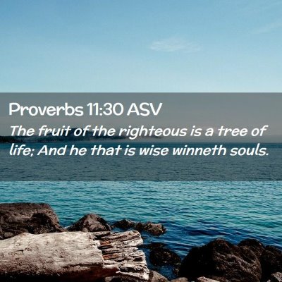 Picture 02 - Proverbs 11:30 ASV - The fruit of the righteous is a tree of life; And - Bible Verse Picture
