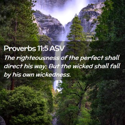 Picture 02 - Proverbs 11:5 ASV - The righteousness of the perfect shall direct his - Bible Verse Picture