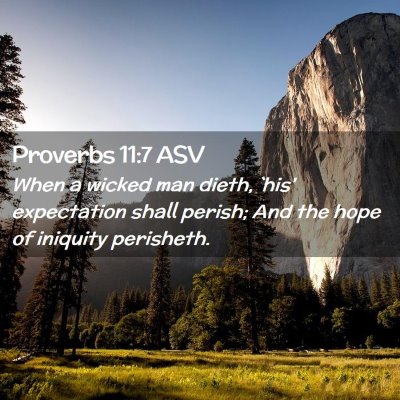Picture 02 - Proverbs 11:7 ASV - When a wicked man dieth, `his' expectation shall - Bible Verse Picture