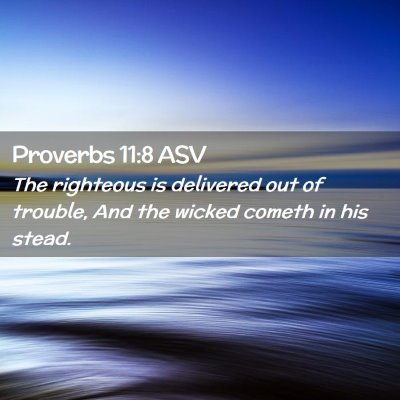 Picture 02 - Proverbs 11:8 ASV - The righteous is delivered out of trouble, And - Bible Verse Picture