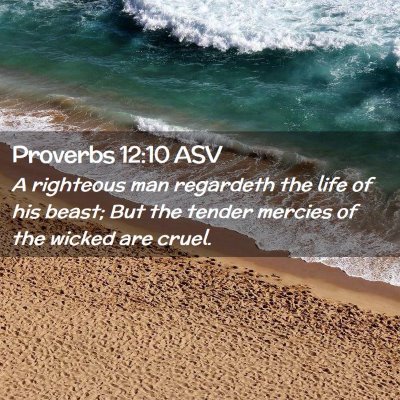Picture 02 - Proverbs 12:10 ASV - A righteous man regardeth the life of his beast; - Bible Verse Picture