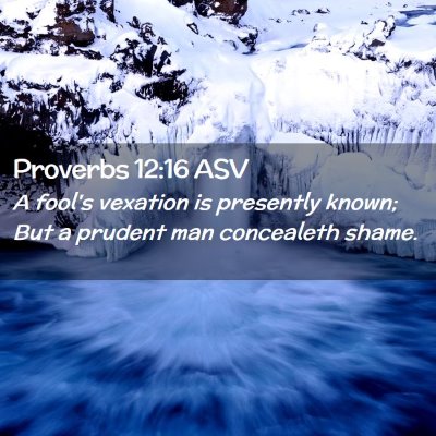 Picture 02 - Proverbs 12:16 ASV - A fool's vexation is presently known; But a - Bible Verse Picture