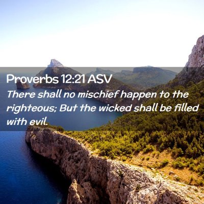 Picture 02 - Proverbs 12:21 ASV - There shall no mischief happen to the righteous; - Bible Verse Picture