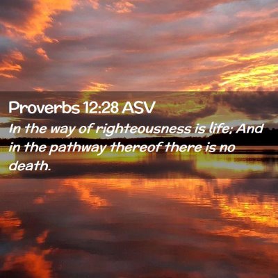 Picture 02 - Proverbs 12:28 ASV - In the way of righteousness is life; And in the - Bible Verse Picture