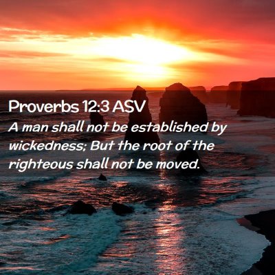 Picture 02 - Proverbs 12:3 ASV - A man shall not be established by wickedness; But - Bible Verse Picture