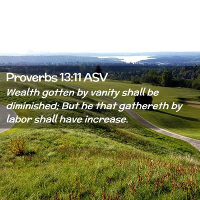 Picture 02 - Proverbs 13:11 ASV - Wealth gotten by vanity shall be diminished; But - Bible Verse Picture