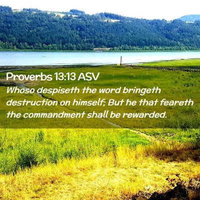 Picture 02 - Proverbs 13:13 ASV - Whoso despiseth the word bringeth destruction on - Bible Verse Picture