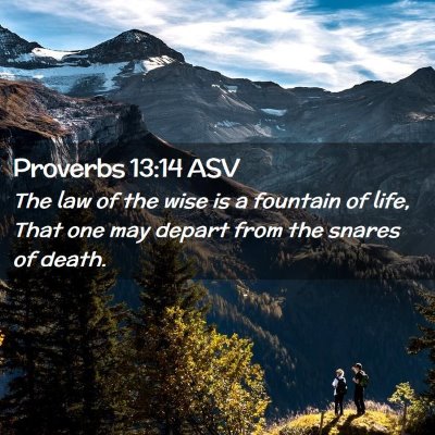 Picture 02 - Proverbs 13:14 ASV - The law of the wise is a fountain of life, That - Bible Verse Picture