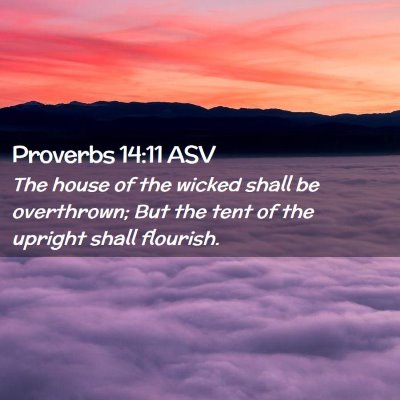 Picture 02 - Proverbs 14:11 ASV - The house of the wicked shall be overthrown; But - Bible Verse Picture